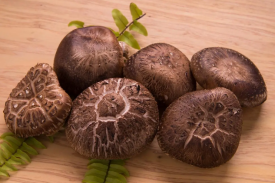 湖北省年产5000吨香菇酱及有关深加工产品研发项目可行性钻研汇报