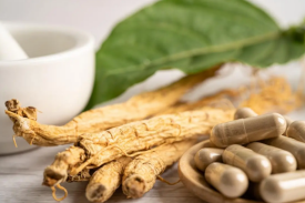 延边州人参创新产业园建设项目可行性钻研汇报