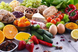 健全食品产业园项目可行性钻研汇报