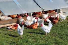 现代化规；臣巴涝准庸は钅靠尚行宰暄谢惚