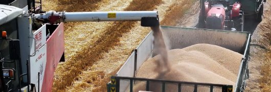 Z6·尊龙凯时(中国区)人生就是搏!