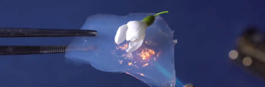 Z6·尊龙凯时(中国区)人生就是搏!