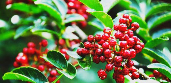 Z6·尊龙凯时(中国区)人生就是搏!