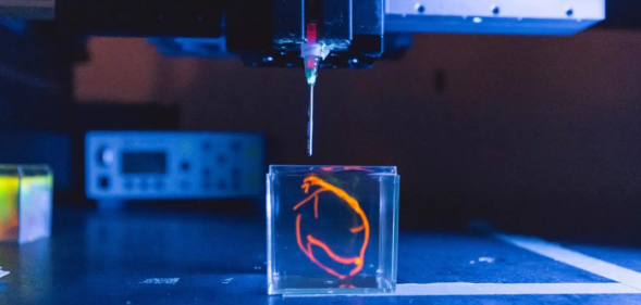 Z6·尊龙凯时(中国区)人生就是搏!