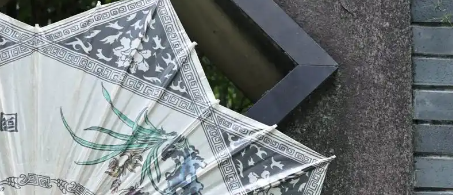 Z6·尊龙凯时(中国区)人生就是搏!