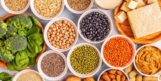 Z6·尊龙凯时(中国区)人生就是搏!