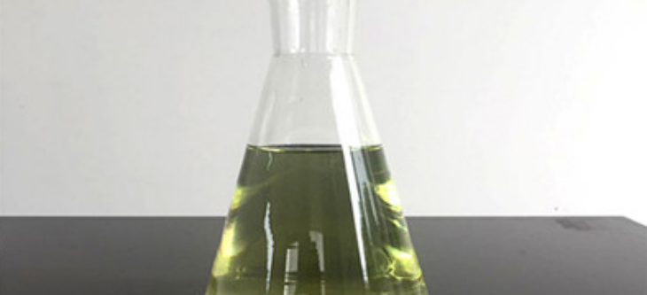 Z6·尊龙凯时(中国区)人生就是搏!