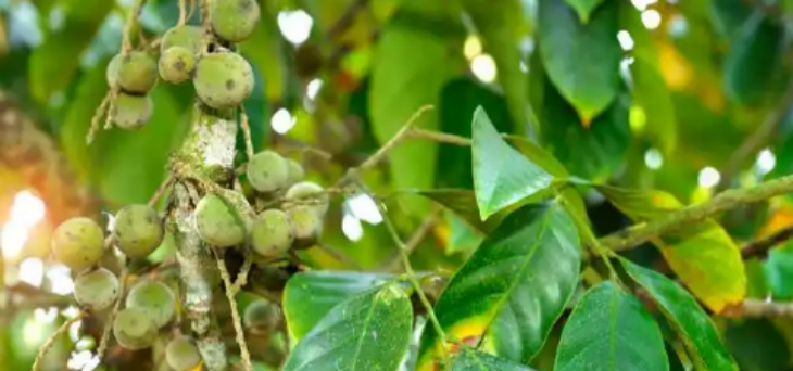 Z6·尊龙凯时(中国区)人生就是搏!