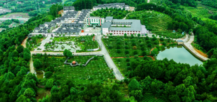 Z6·尊龙凯时(中国区)人生就是搏!