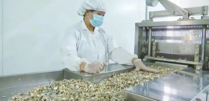 Z6·尊龙凯时(中国区)人生就是搏!