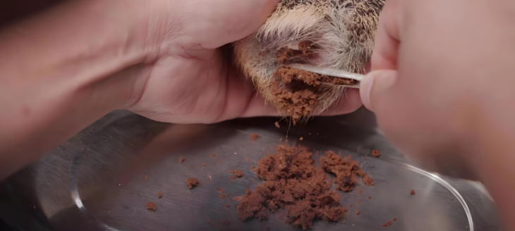 Z6·尊龙凯时(中国区)人生就是搏!