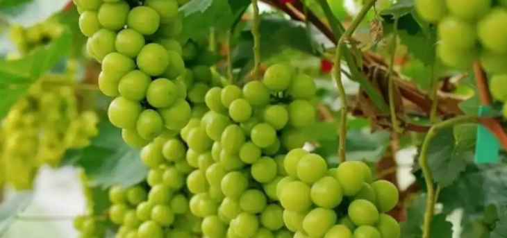 Z6·尊龙凯时(中国区)人生就是搏!