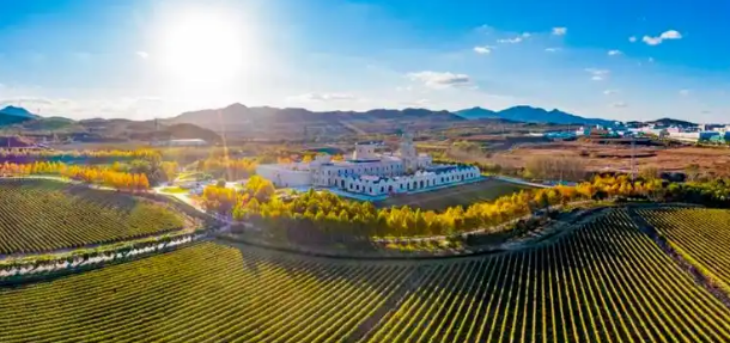 Z6·尊龙凯时(中国区)人生就是搏!