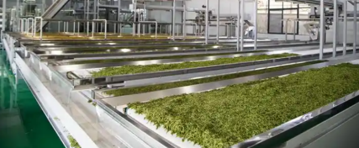 Z6·尊龙凯时(中国区)人生就是搏!