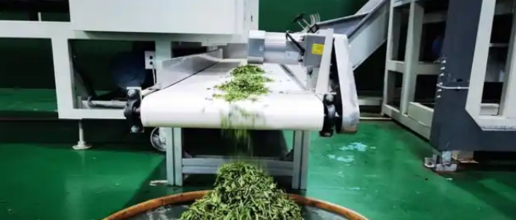 Z6·尊龙凯时(中国区)人生就是搏!