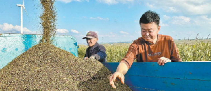 Z6·尊龙凯时(中国区)人生就是搏!