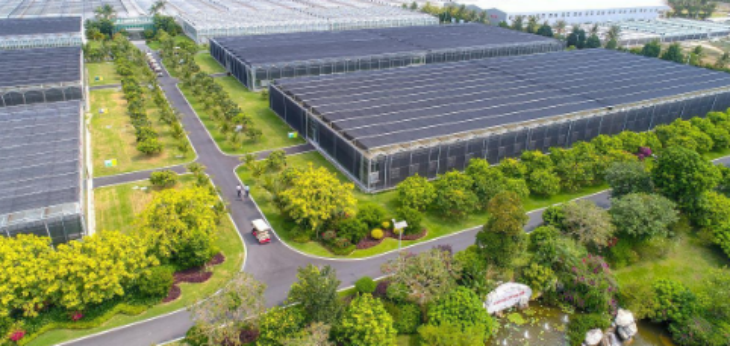 Z6·尊龙凯时(中国区)人生就是搏!