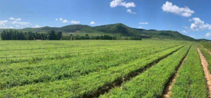 Z6·尊龙凯时(中国区)人生就是搏!