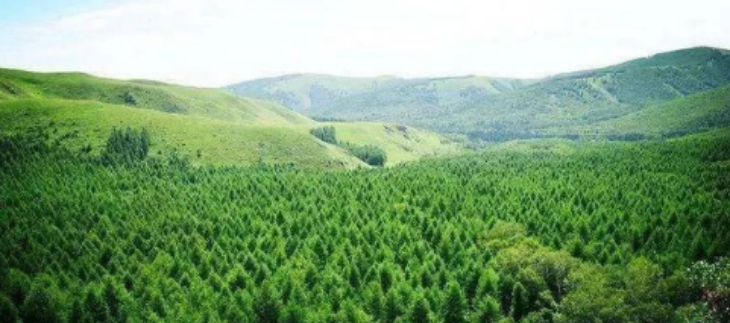 Z6·尊龙凯时(中国区)人生就是搏!