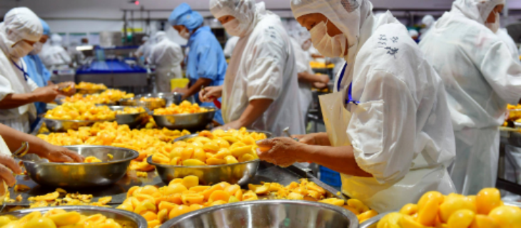 Z6·尊龙凯时(中国区)人生就是搏!